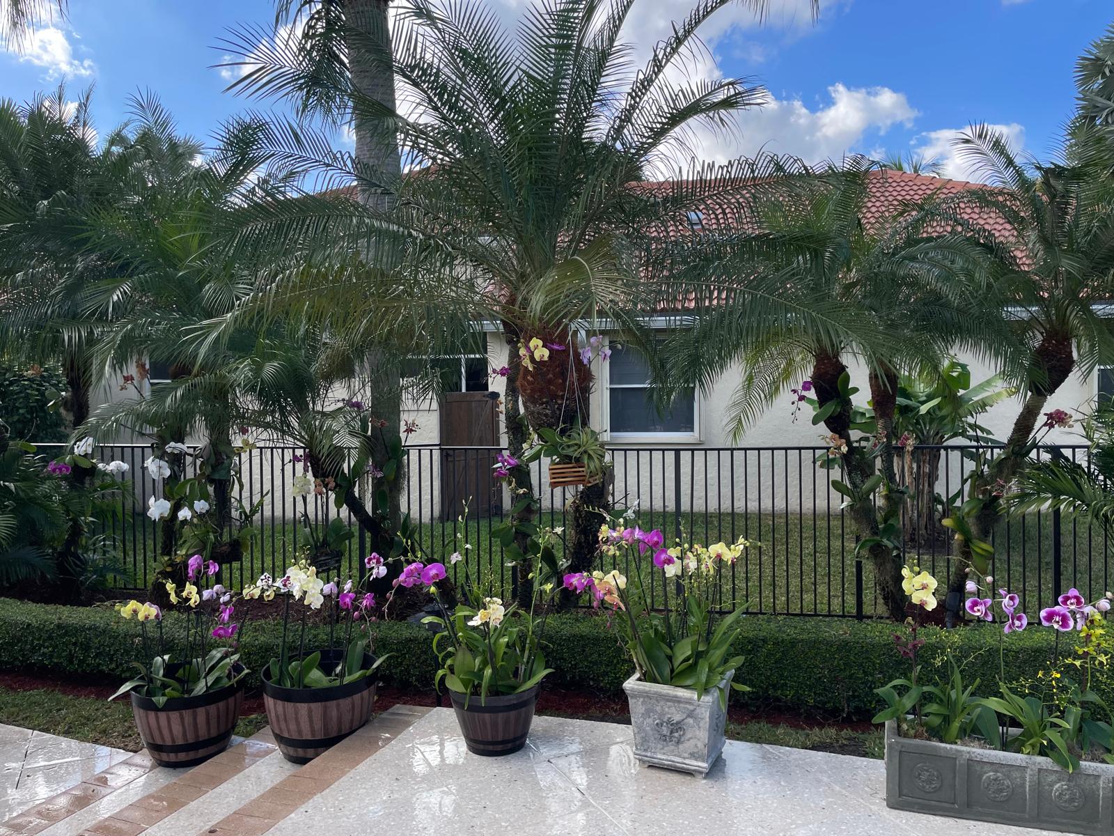 Residential Garden Installation