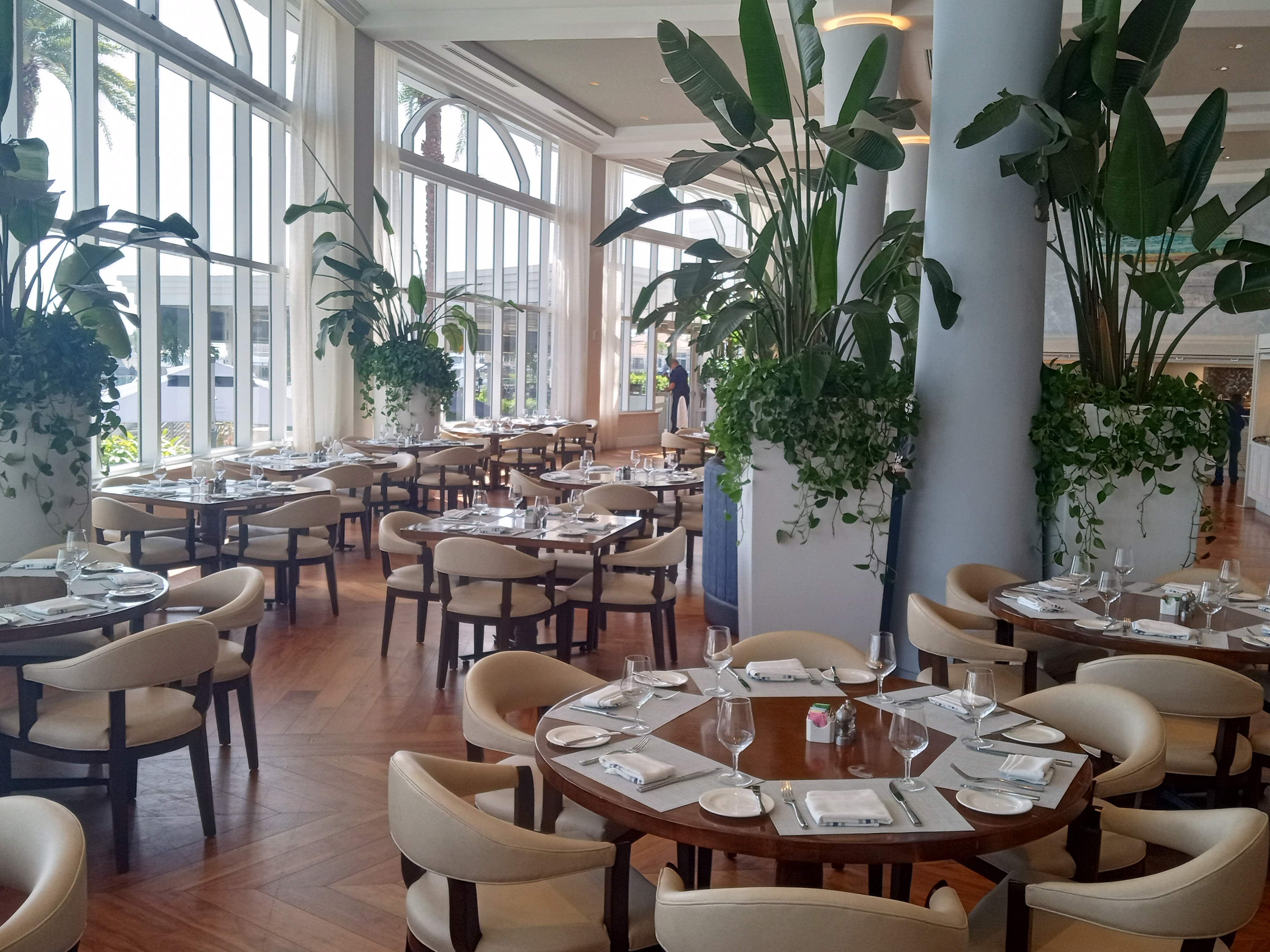 Bright restaurant interior with tall tropical plants, trailing vines, and elegant table settings